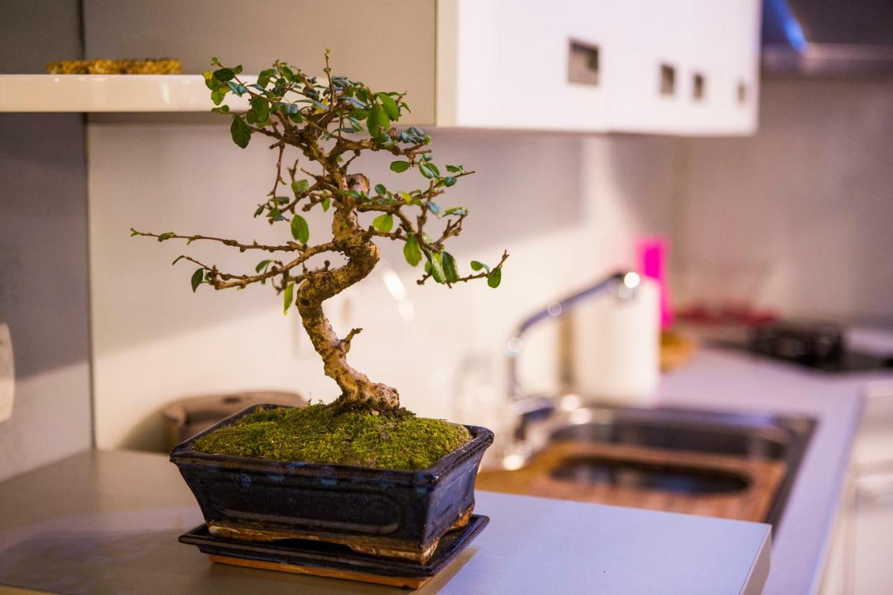 Luxurious Apartment With Private Garden 스플리트 외부 사진